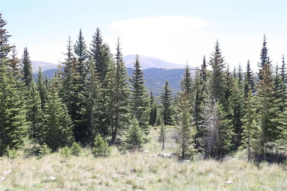 1480 Roberts Road, Fairplay, CO 80440 - #1