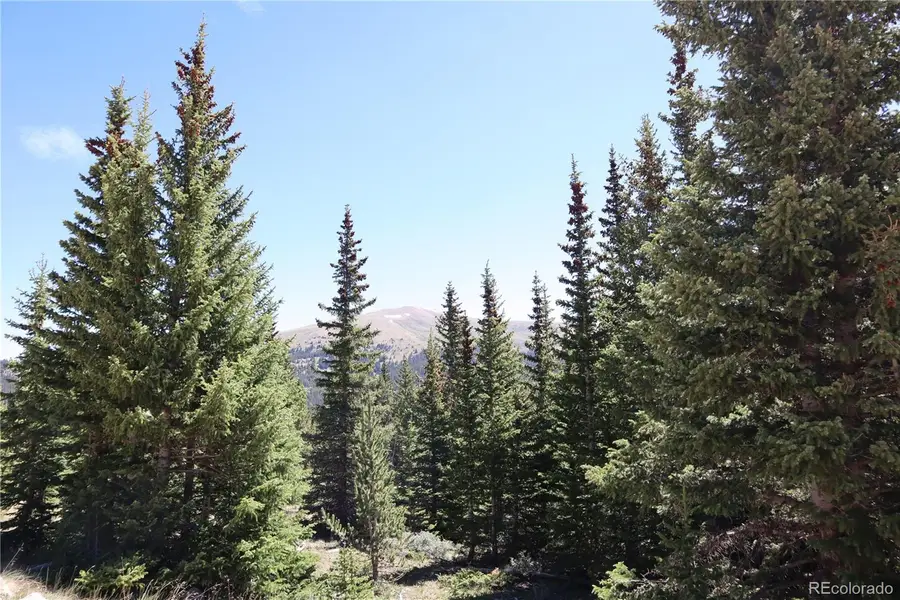 1480 Roberts Road, Fairplay, CO 80440 - #2