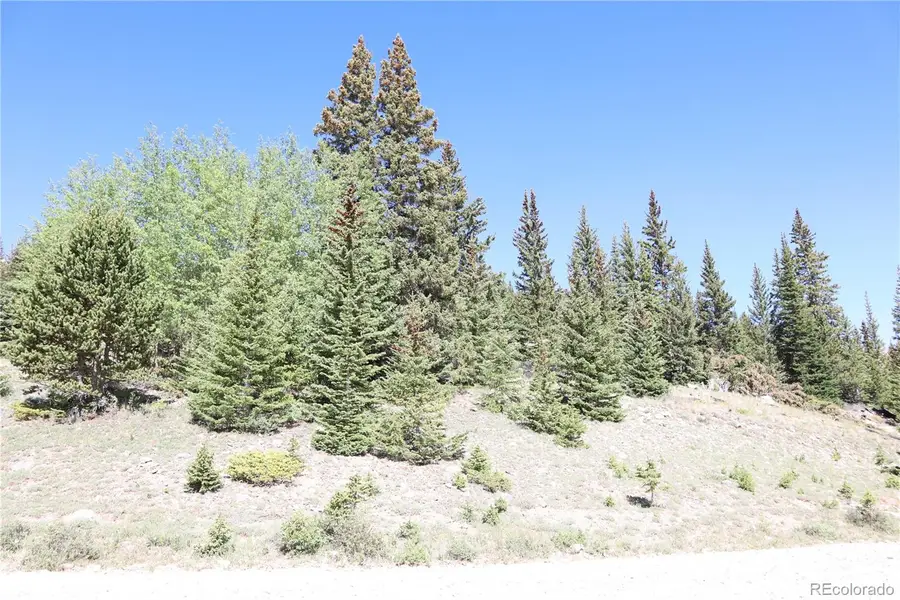 1480 Roberts Road, Fairplay, CO 80440 - #3