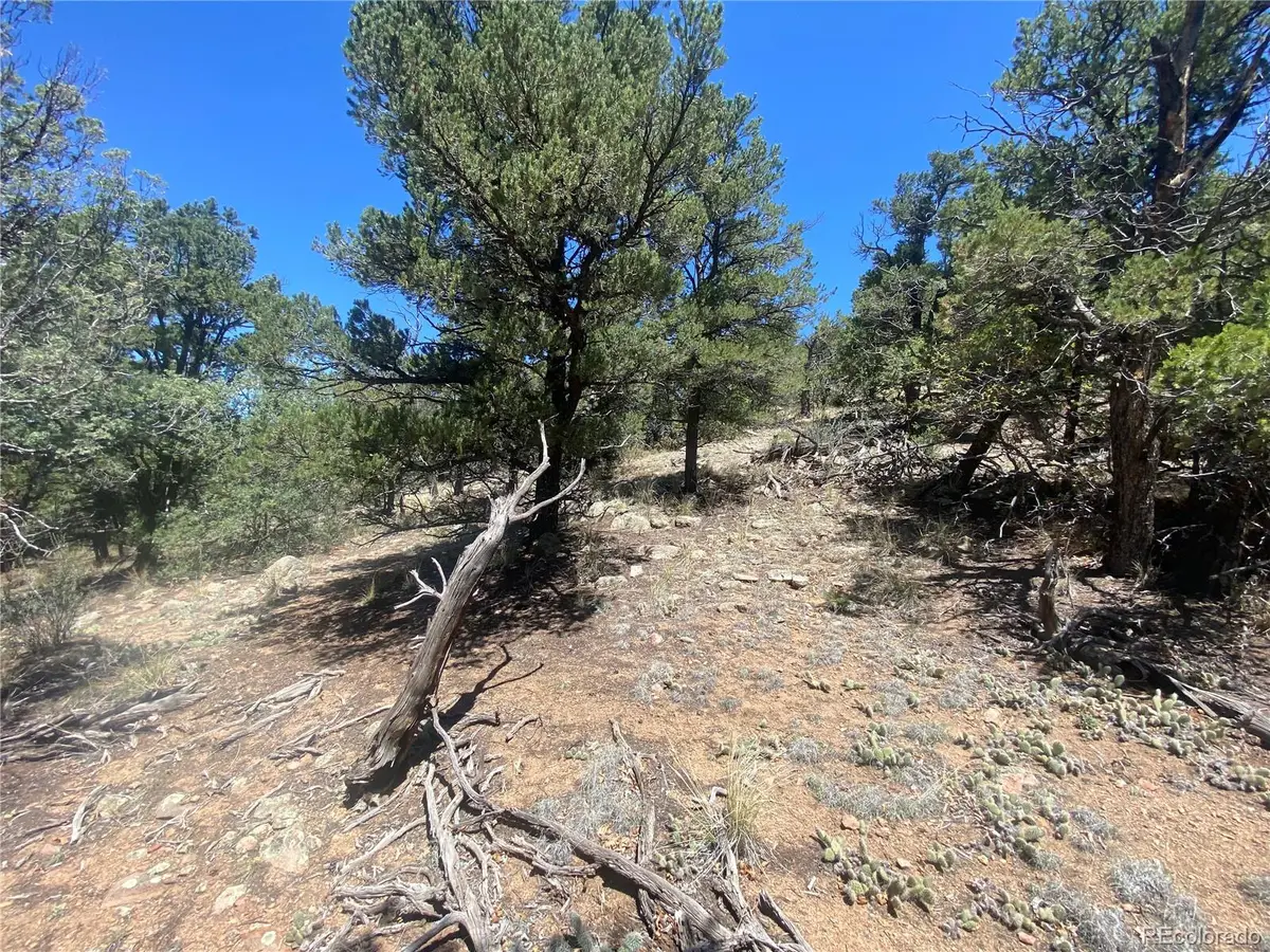 TR-142 17th Trail, Cotopaxi, CO 81223 - #1