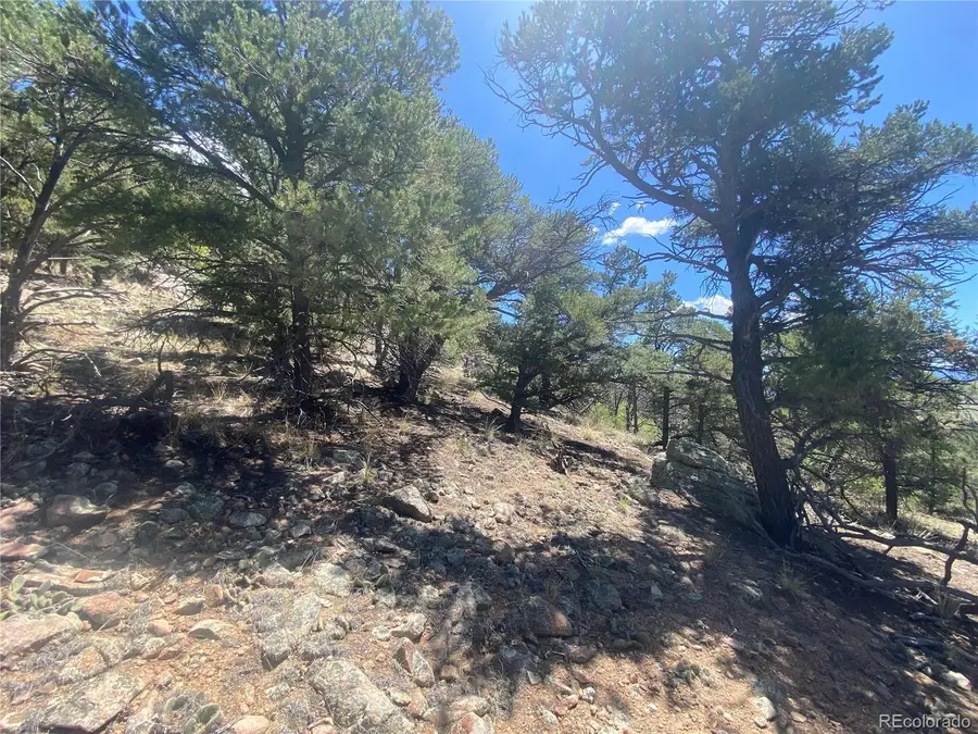 TR-142 17th Trail, Cotopaxi, CO 81223 - #3