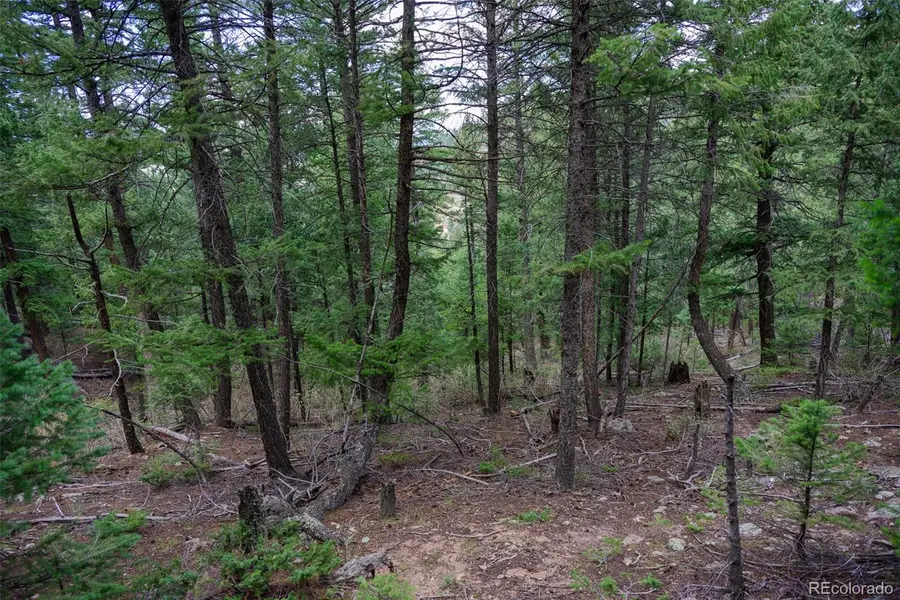 0, Evergreen, CO 80439 - #2