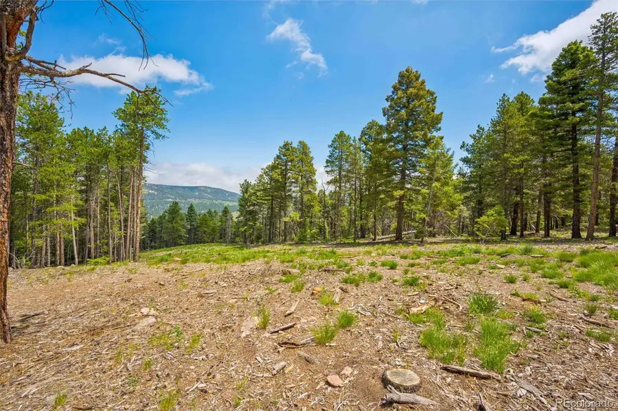 12329 Powhatan Trail, Conifer, CO 80433 - Image #3