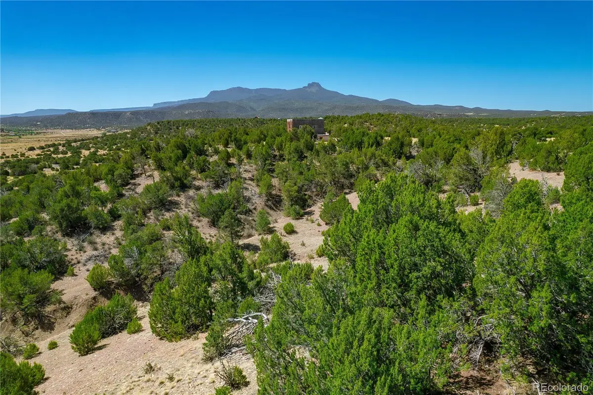 37300 Kunzite Road, Trinidad, CO 81082 - #1