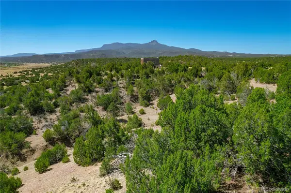 37300 Kunzite Road, Trinidad, CO 81082