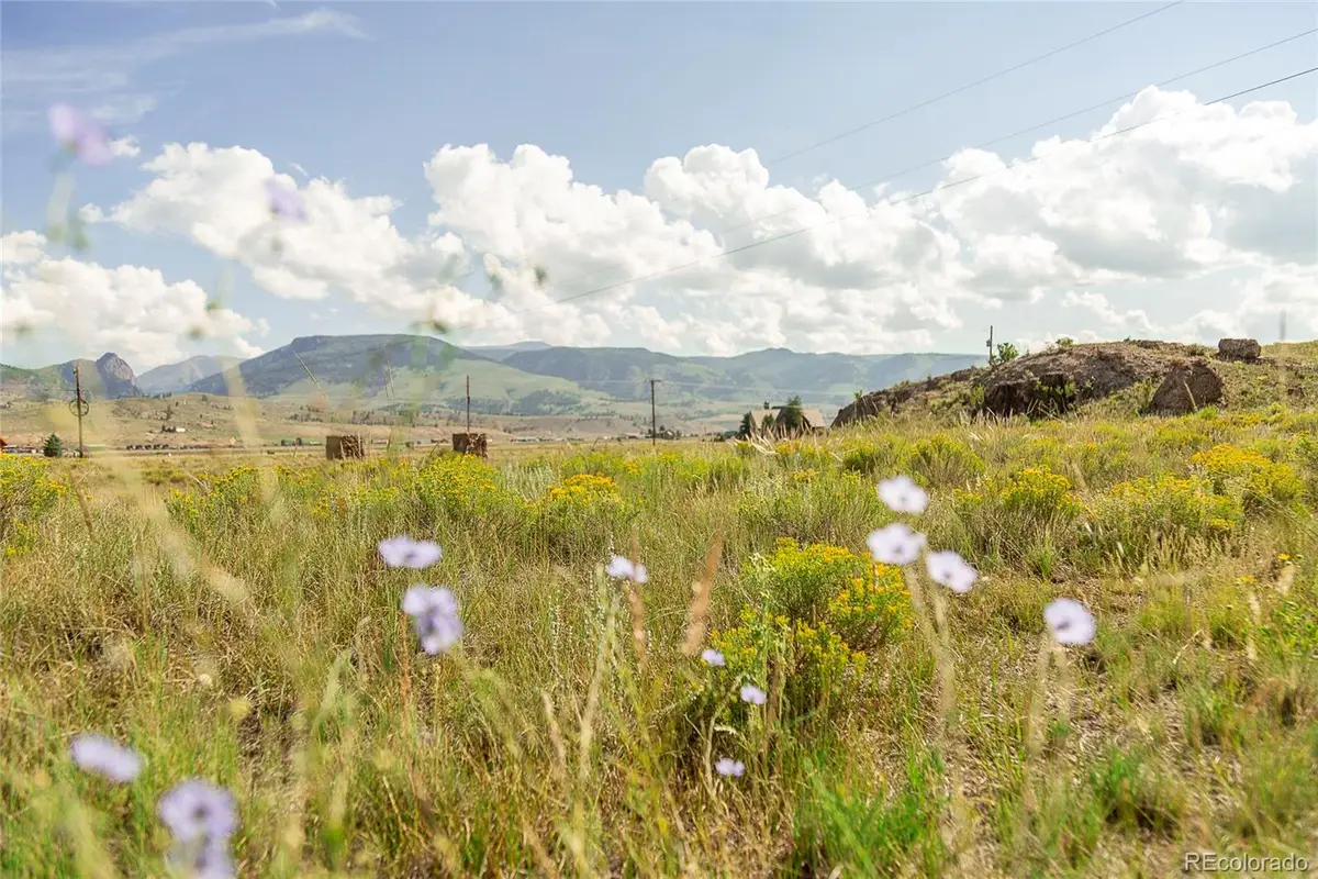 410 Macfarlane Lane, Creede, CO 81130 - #1