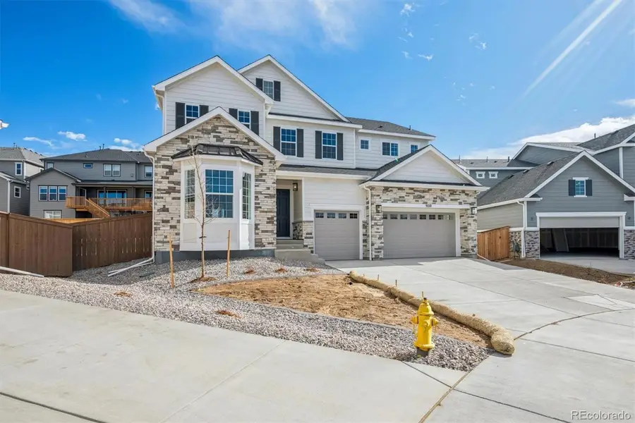 9210 Gold Lace Place, Highlands Ranch, CO 80129 - #2