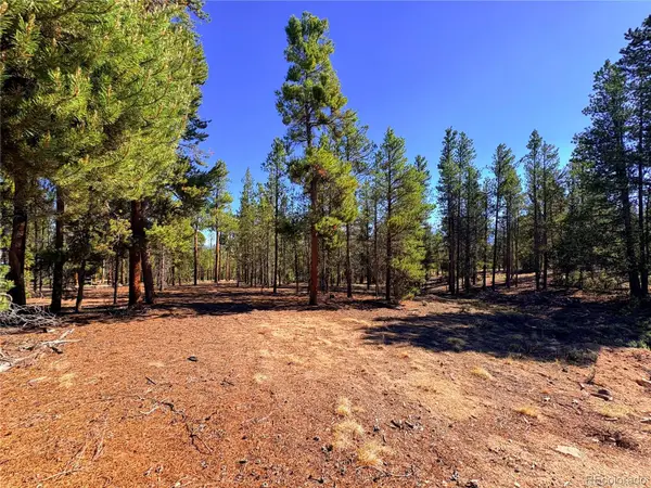 399 Lodgepole Drive, Leadville, CO 80461