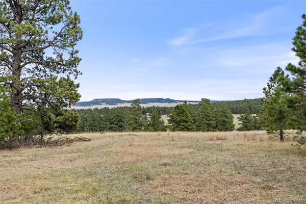8653 N Teacup Road, Elbert, CO 80106