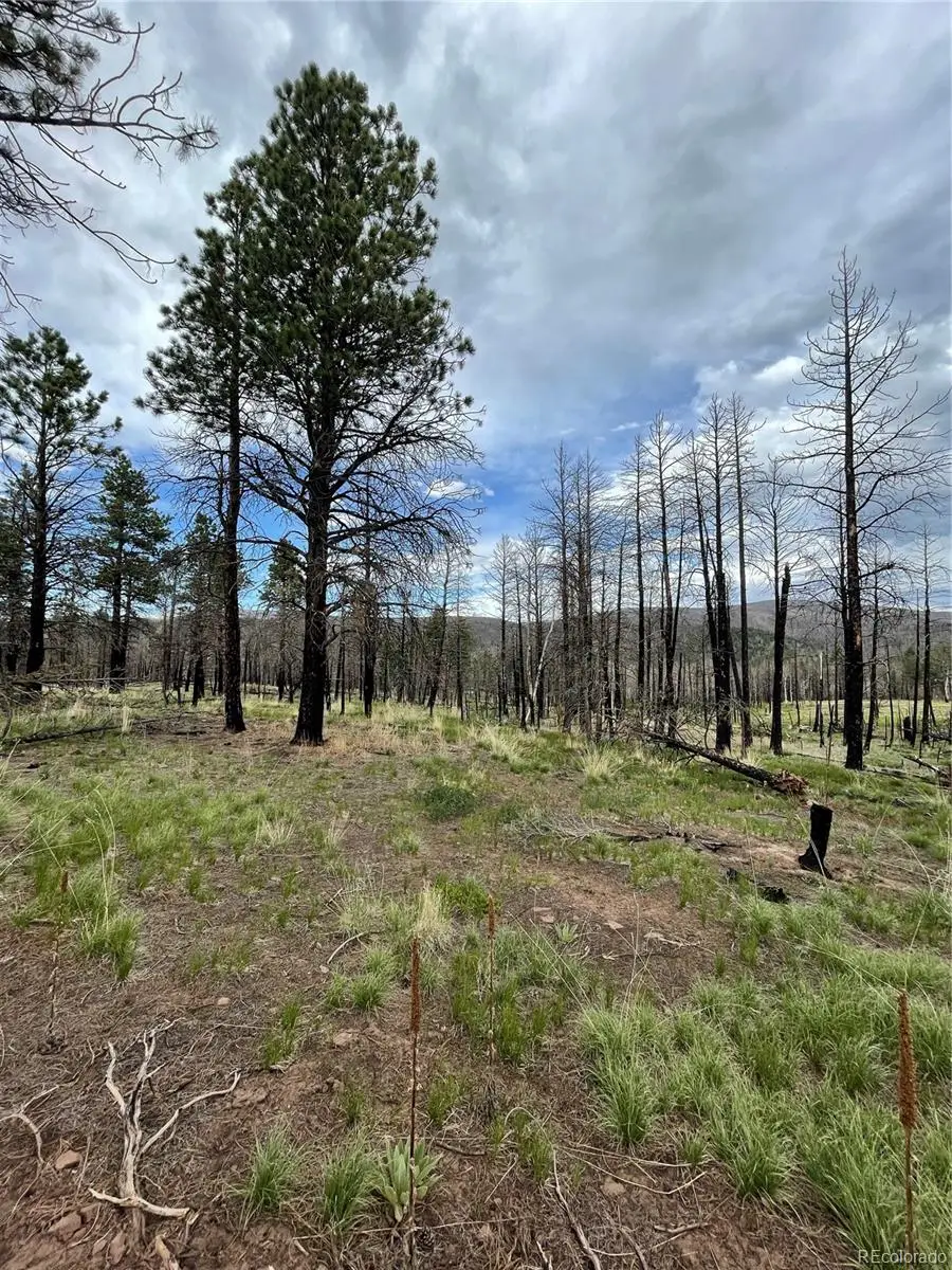 533 Leslie Loop, Fort Garland, CO 81133 - Image #1