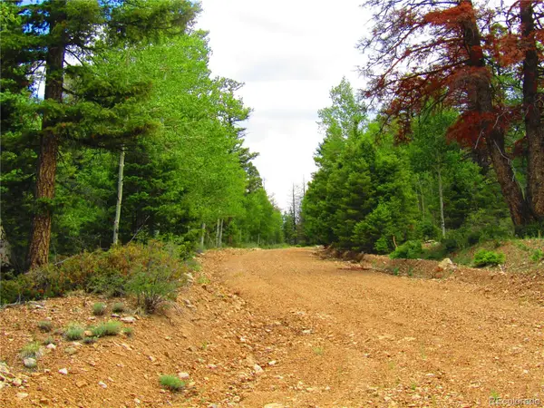 LOT 6079 Stella Road, San Luis, CO 81152
