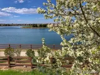 15975 Longford Drive, Parker, CO 80134 - Image #3