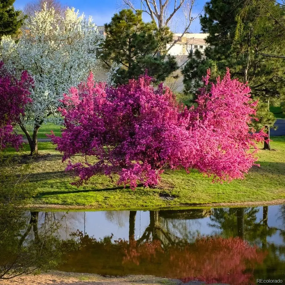 7000 E Quincy Avenue #217, Denver, CO 80237 - #1