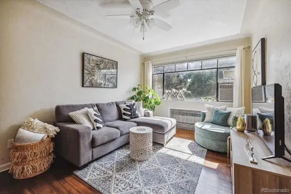 1130 N Pennsylvania Street #307, Denver, CO 80203