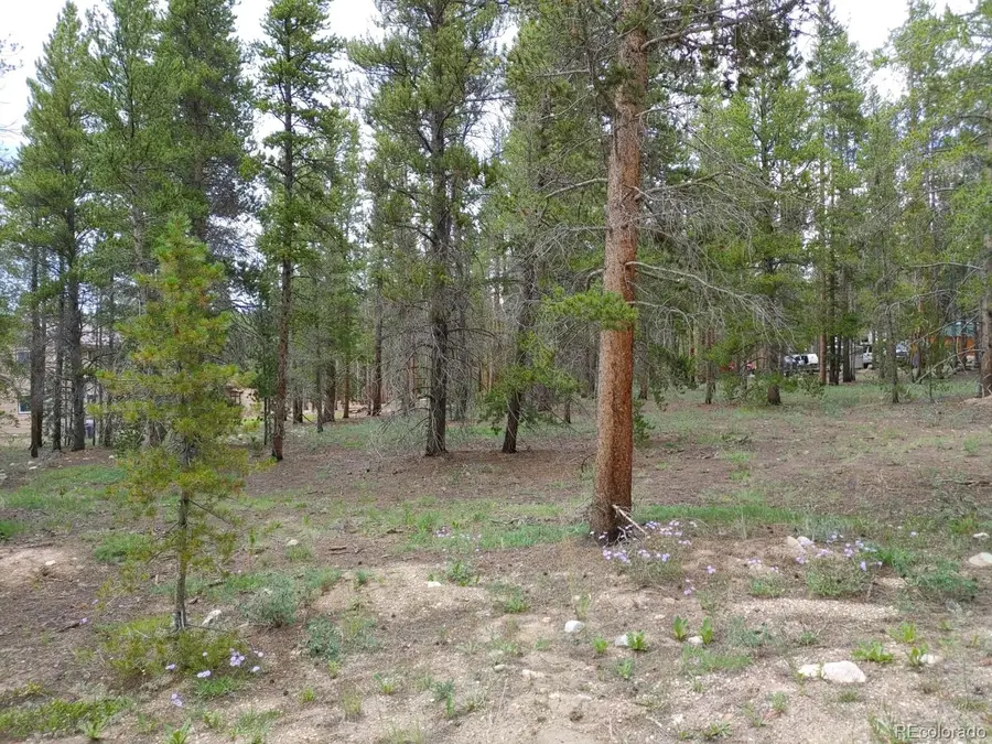 813 Topaz Street, Leadville, CO 80461 - #2