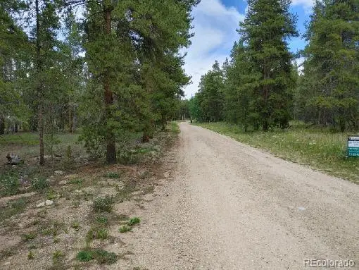 813 Topaz Street, Leadville, CO 80461 - #3