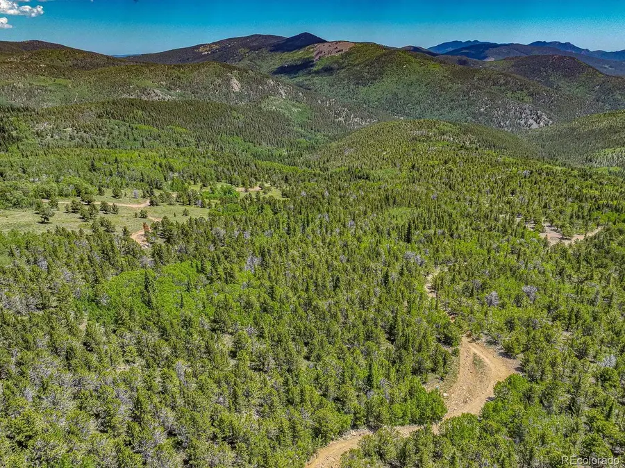 123 Yankee Hill Trail, Black Hawk, CO 80427 - #3