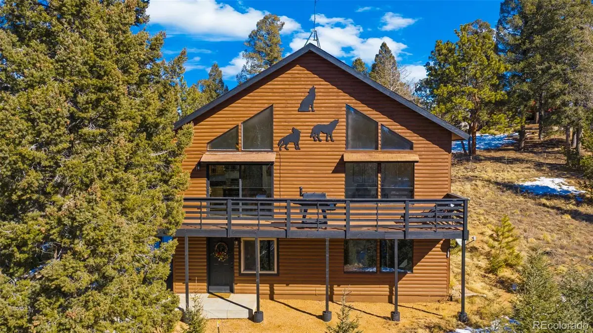 104 Mt Elbert Drive, Florissant, CO 80816 - #1