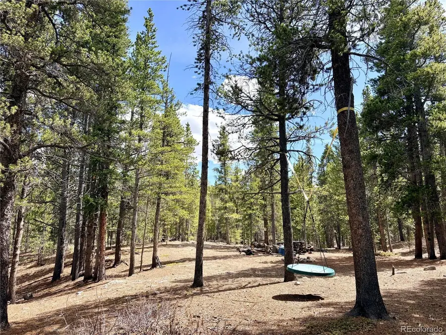 0 Georges Way, Alma, CO 80420 - #2