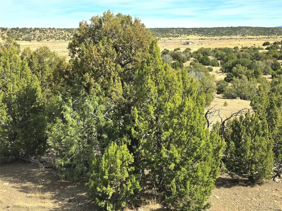 Lot 21 of 13565 Bat Masterson Drive, Trinidad, CO 81082 - #3