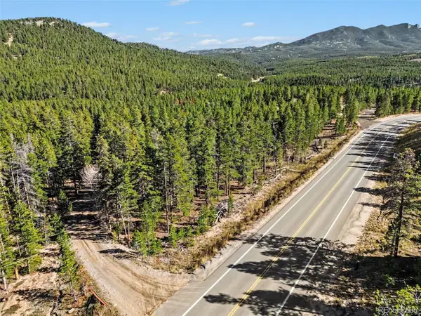 23604 Peak To Peak, Nederland, CO 80466