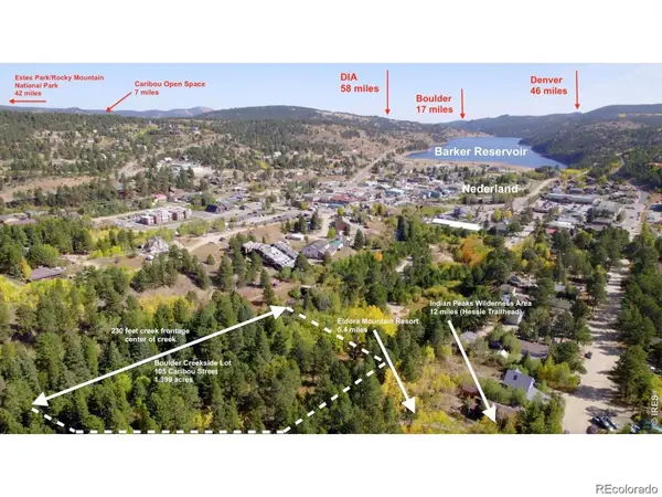 105 Caribou Street, Nederland, CO 80466