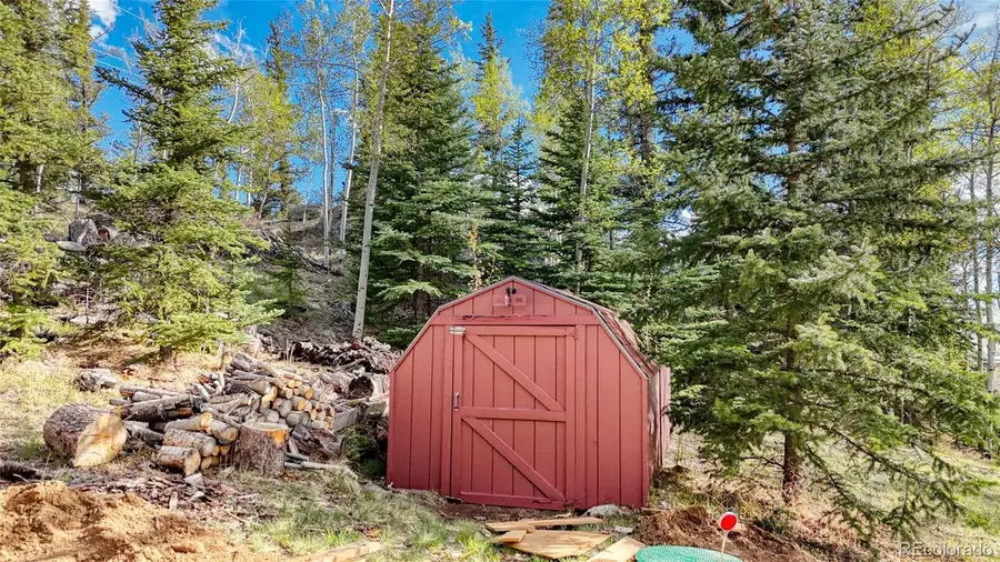128 Brook Drive, Lake George, CO 80827 - #3