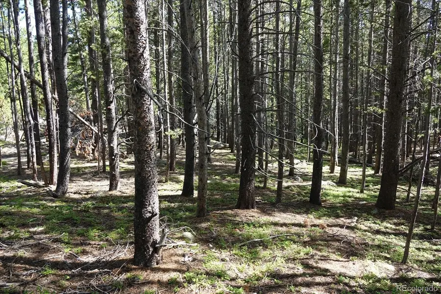 00 Upper Forest Rd, Idaho Springs, CO 80452 - #2