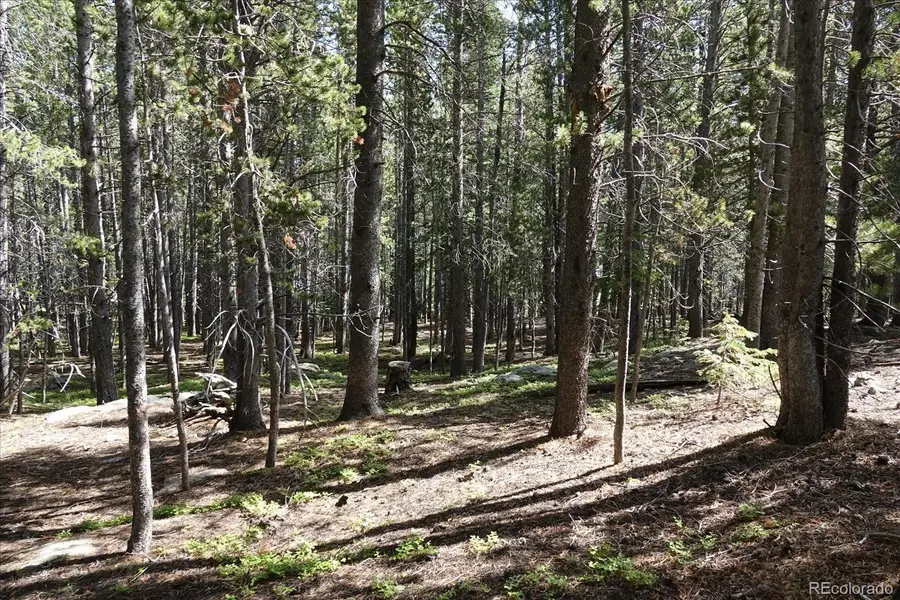 00 Upper Forest Rd, Idaho Springs, CO 80452 - #3