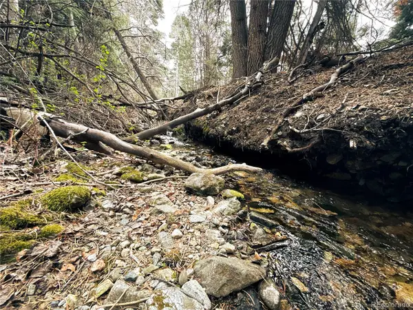 189 Cedar Ridge Road, Mosca, CO 81146