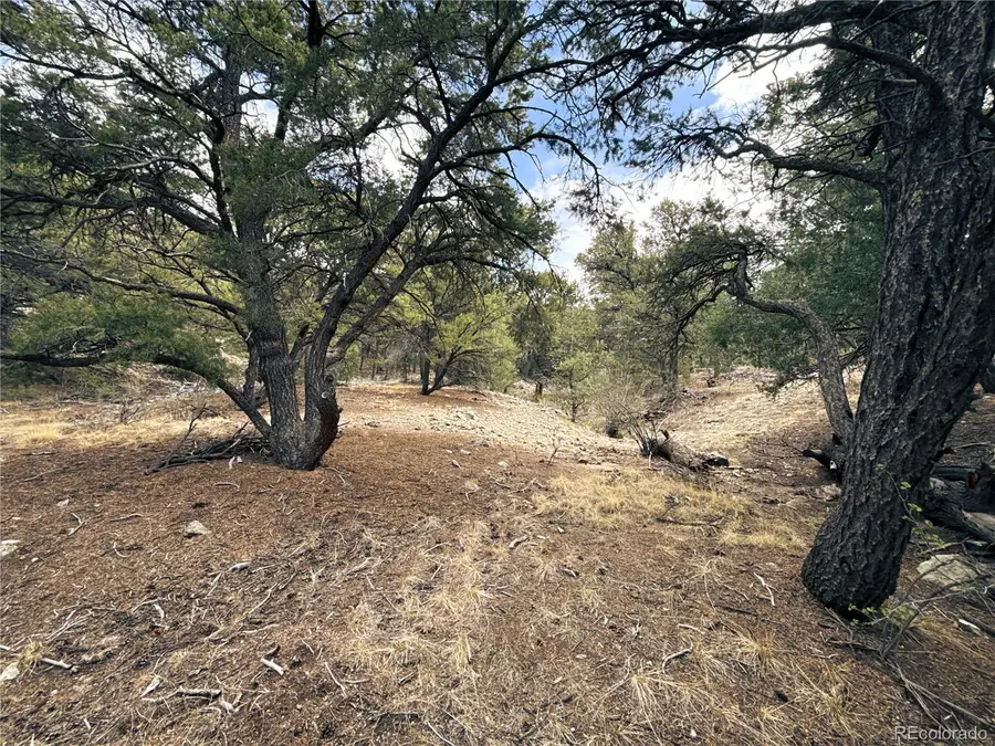 189 Cedar Ridge Road, Mosca, CO 81146 - #3