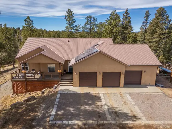 293 Daniwood Grove, Florissant, CO 80816