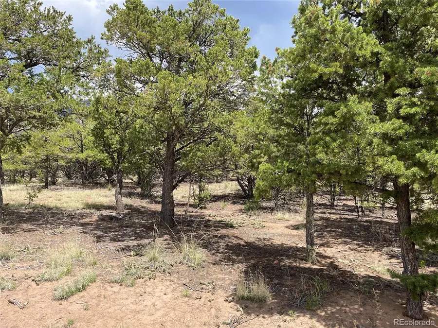 Tract 5 PHILLEO ANNEX Philleo Way, Crestone, CO 81131 - #2