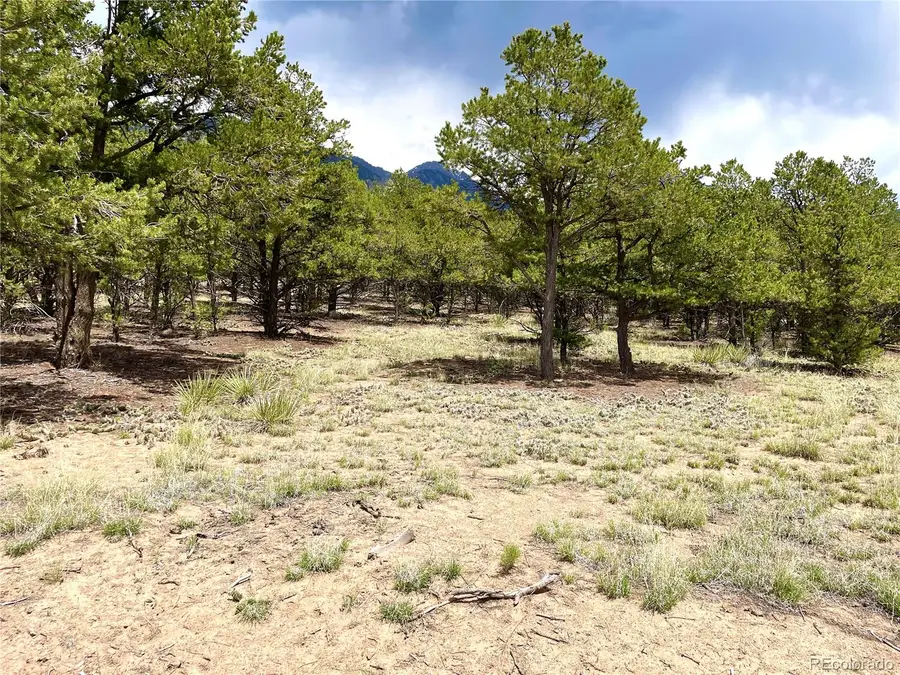 Tract 5 PHILLEO ANNEX Philleo Way, Crestone, CO 81131 - #3