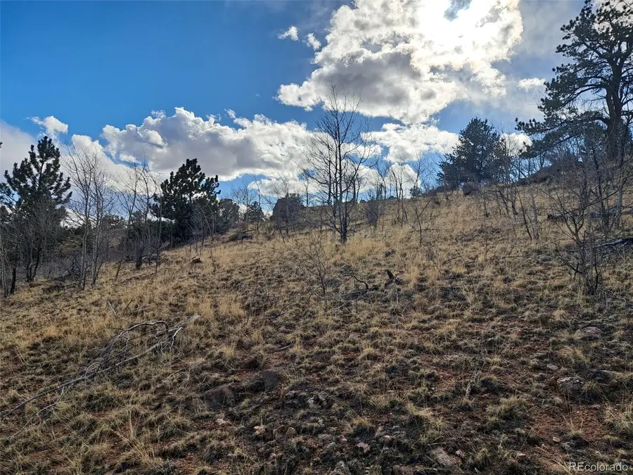 908 Raven Way, Como, CO 80432 - #3