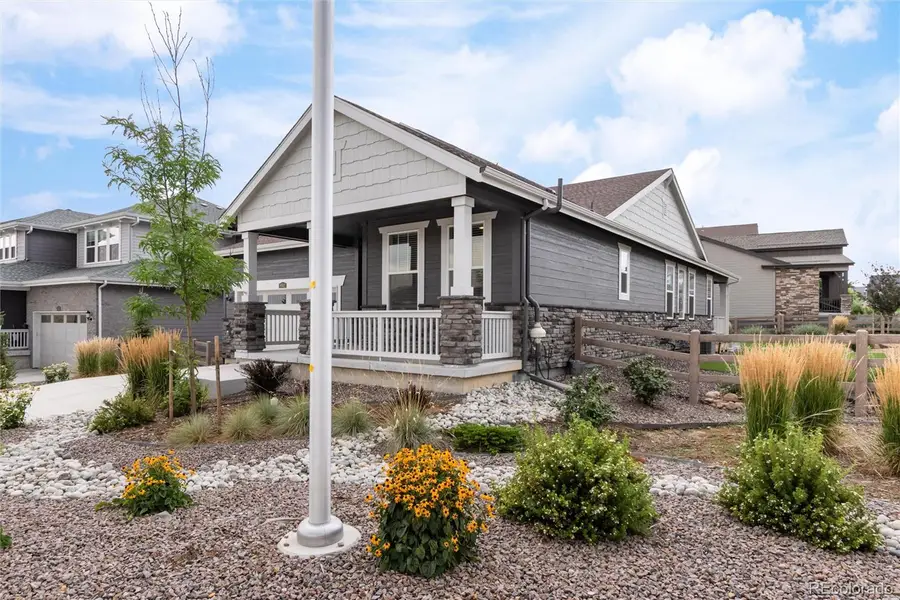 9562 Byers Peak Street, Littleton, CO 80125 - #3