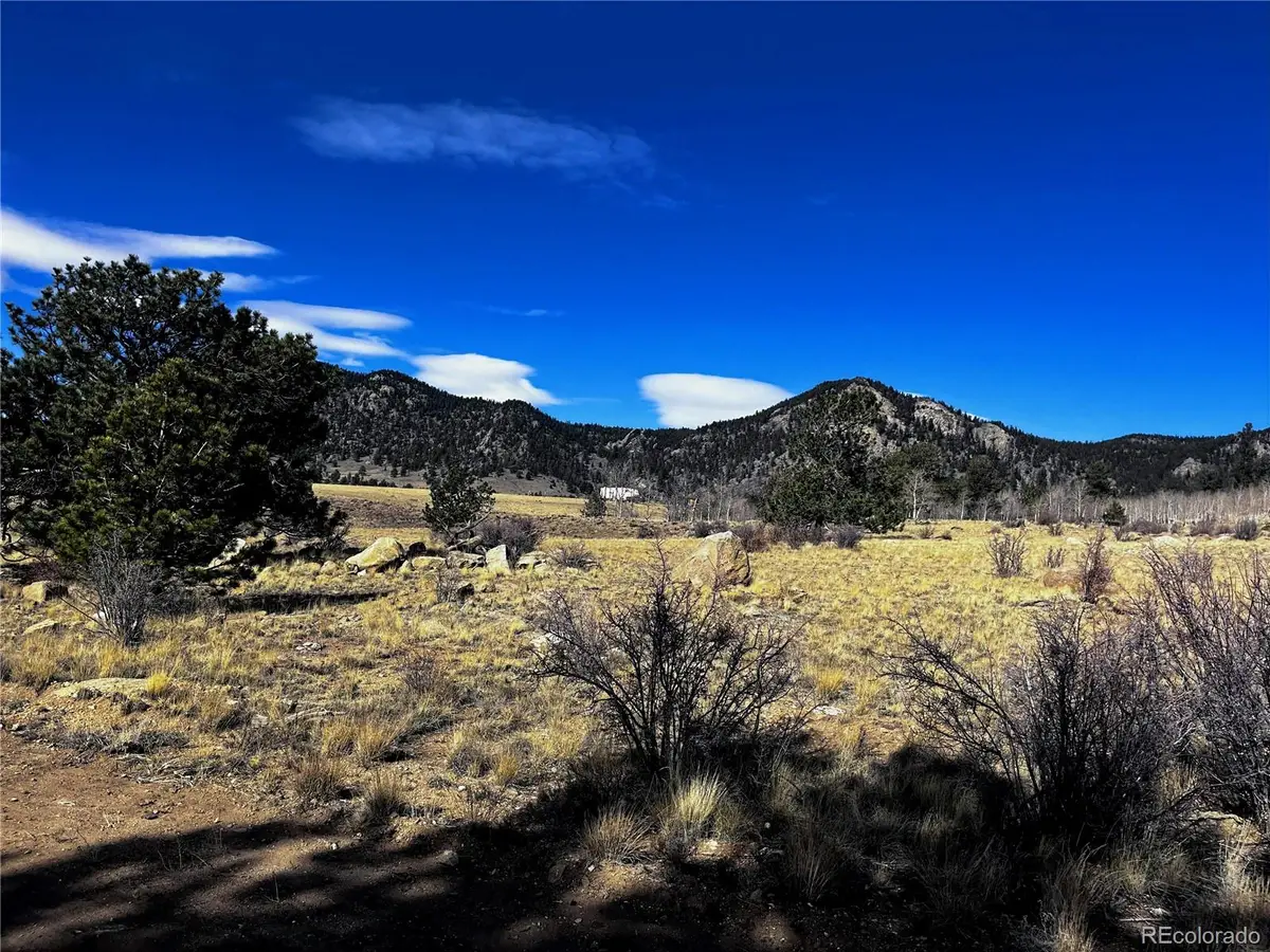 1975 Garfield Road, Lake George, CO 80827 - Image #1