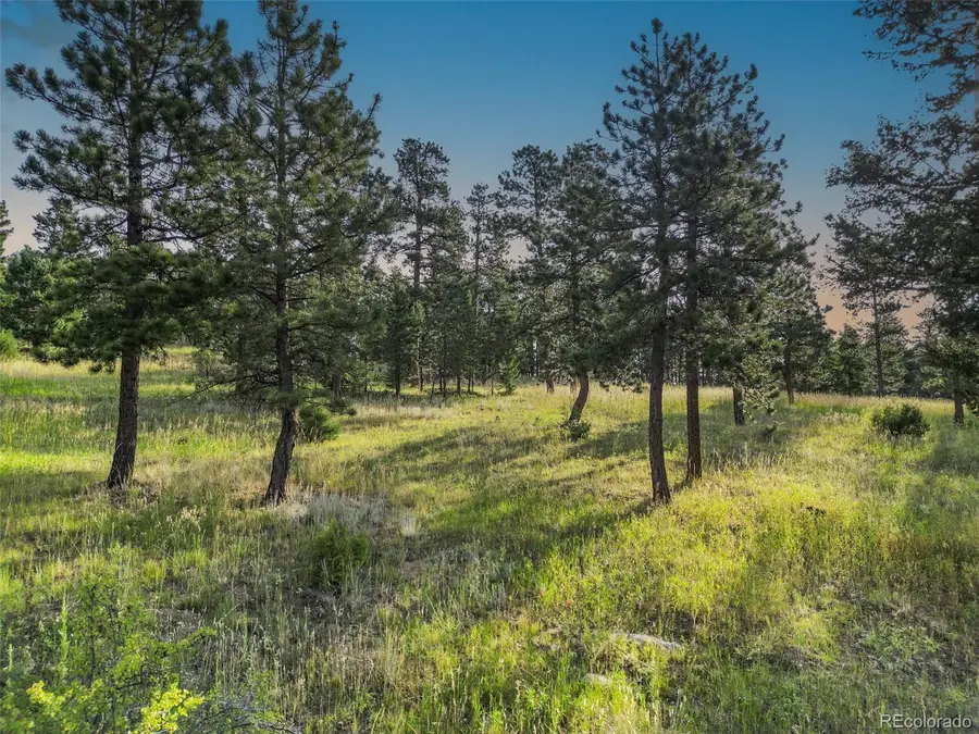 26545 Richmond Hill Road, Conifer, CO 80433 - #2