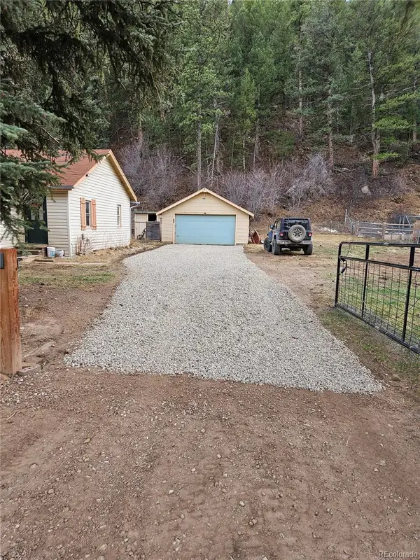 124 River Drive, Bailey, CO 80421