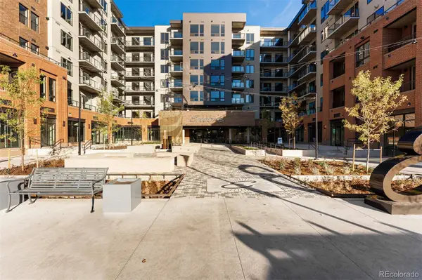 20 Wilcox Street #207, Castle Rock, CO 80104