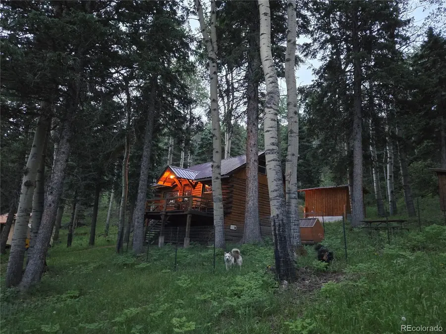 9626 State Highway 165, Rye, CO 81069 - #2