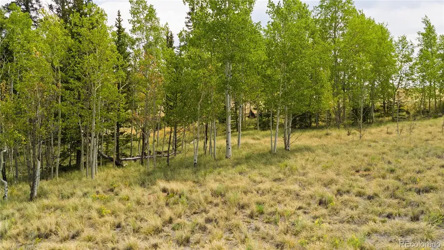 540 Turk Pony Way, Como, CO 80432 - #3