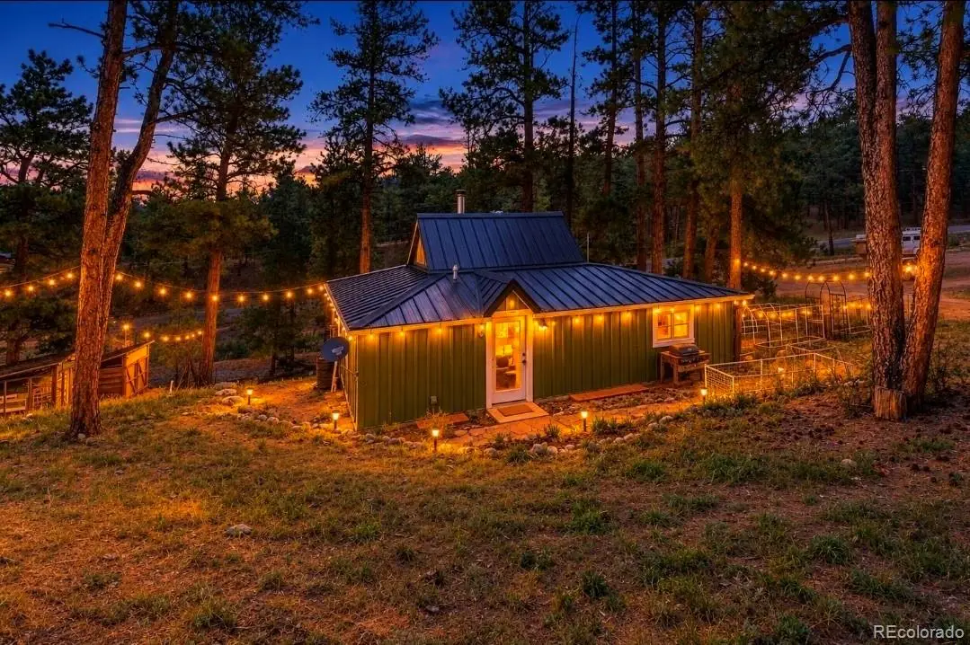 23803 Logan, Pine, CO 80470 - #1