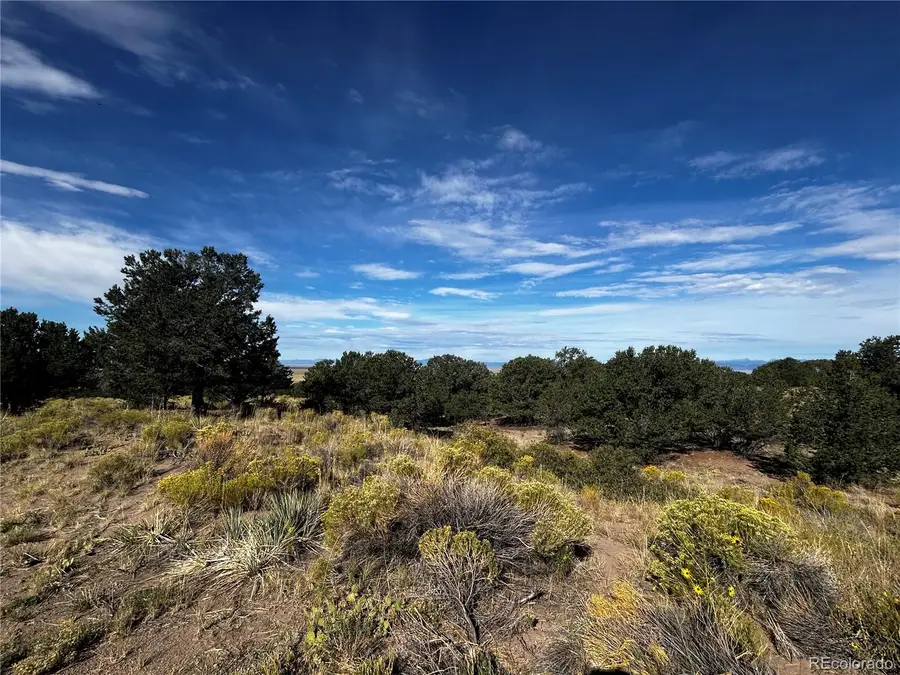 1411 W Badger Road, Crestone, CO 81131 - #2