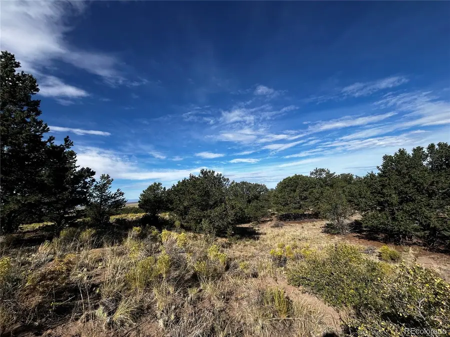 1411 W Badger Road, Crestone, CO 81131 - #3