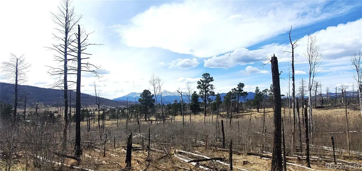 Lot 1209 Emery Loop, Fort Garland, CO 81133 - #1