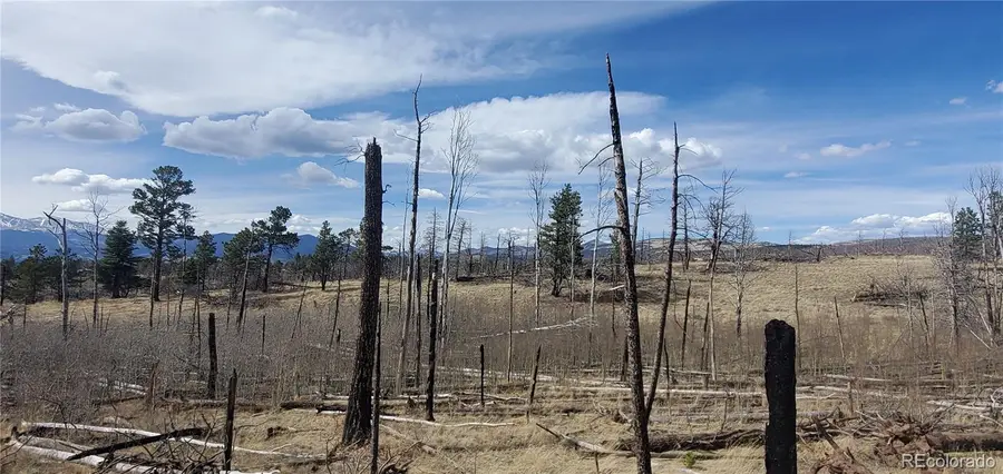 Lot 1209 Emery Loop, Fort Garland, CO 81133 - #2