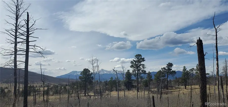 Lot 1209 Emery Loop, Fort Garland, CO 81133 - #3