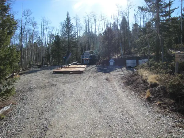 8165 Ranch Road, Hartsel, CO 80449