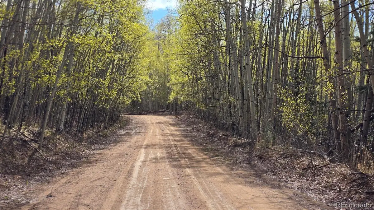 Lot 5902 Slegers Road, Fort Garland, CO 81133 - #1